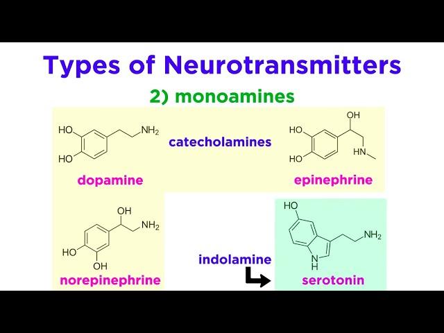 Neurotransmitters: Type, Structure, and Function