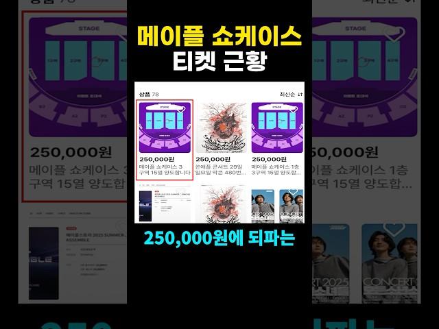 메이플 쇼케이스 티켓 근황