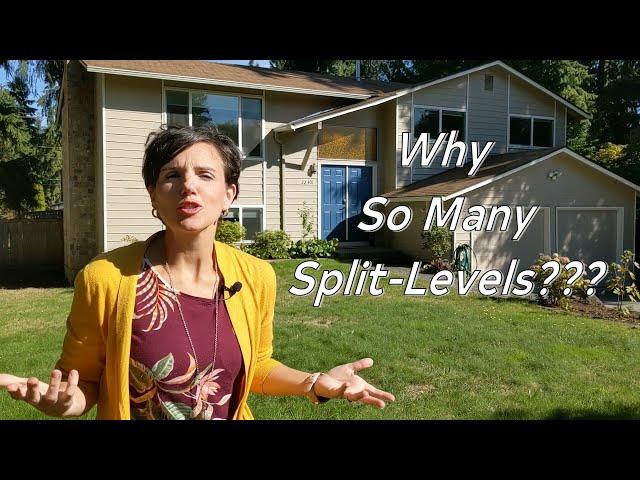 Why So Many Split Levels???