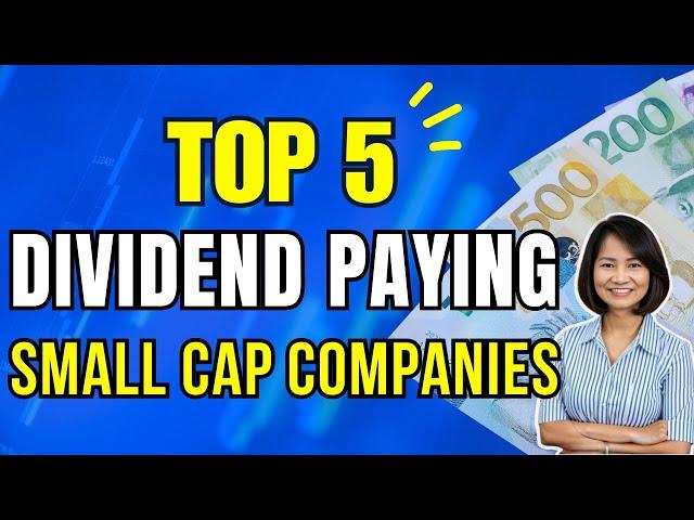 Top 5 Dividend Paying Small Cap Companies / Dividend Investing for Passive Income