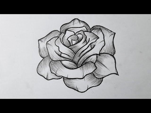 How to draw a rose easy tutorial for beginners || Rose drawing