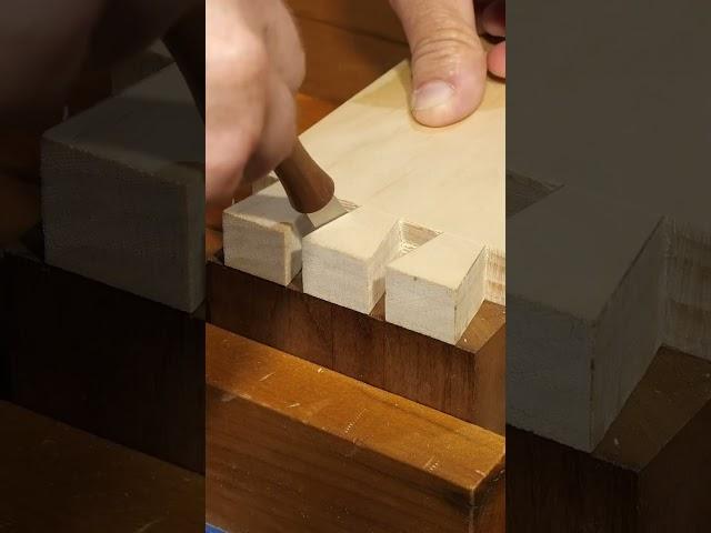 Beautiful Hand Cut Dovetails | ASMR | Woodworking #shorts