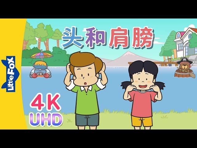 [4K] 头和肩膀 (Head and Shoulders) | Sing-Alongs | Chinese song | By Little Fox