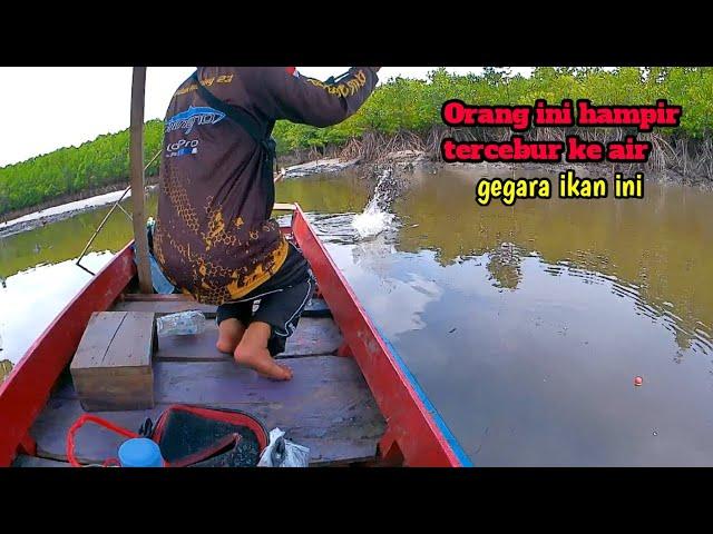 Ternyata disini sarangnya ikan babon, padahal airnya dangkal.!!