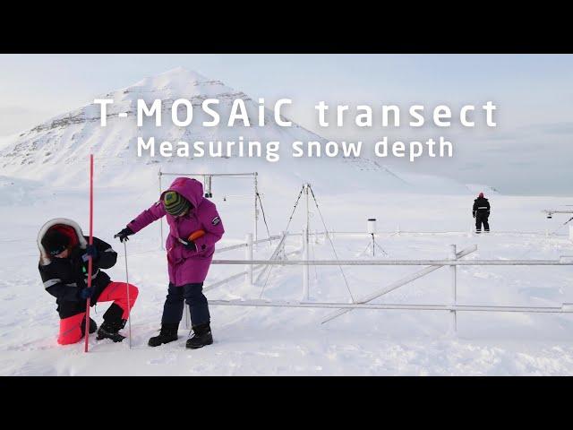 T-MOSAiC Transect - Snow Depth Measurements Video Tutorial