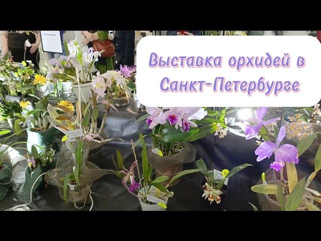 Выставка орхидей в Санкт-Петербурге