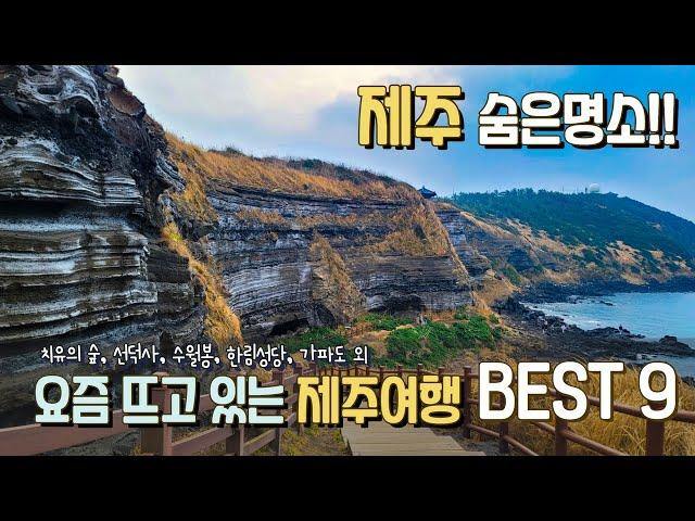 제주의 숨겨진 명소 9곳을 알려드립니다. 한국에서 가장 아름다운 숲부터  제주사찰 지질트레일  제주도민 피서지 청보리밭 등 요즘 뜨는 제주여행지 베스트 9