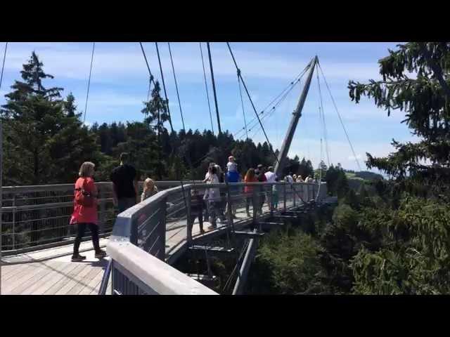 Skywalk im Allgäu bei Scheidegg