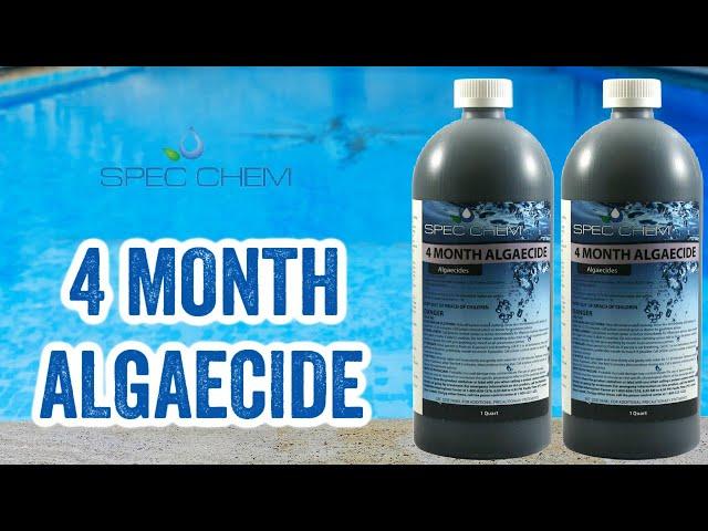 4 Month Algaecide by Spec Chem