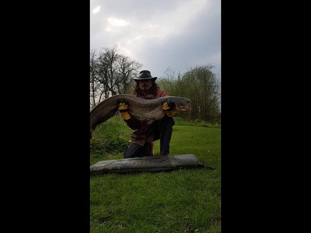 LEIGHTON POOLS CODSALL