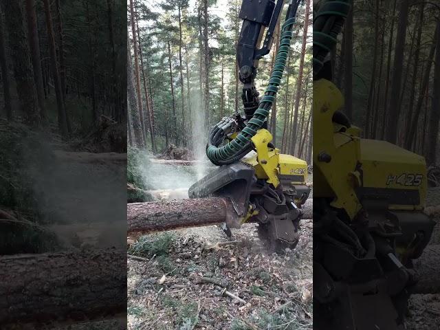 How does the harvester 1270g process trees #johndeere #love #machine #viral #tree #wood #harvester