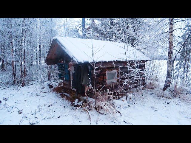 Livе Alone in the Forest, Off Grid cabin, Found an abandoned tiny house in the woods