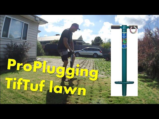 Proplugging a new lawn