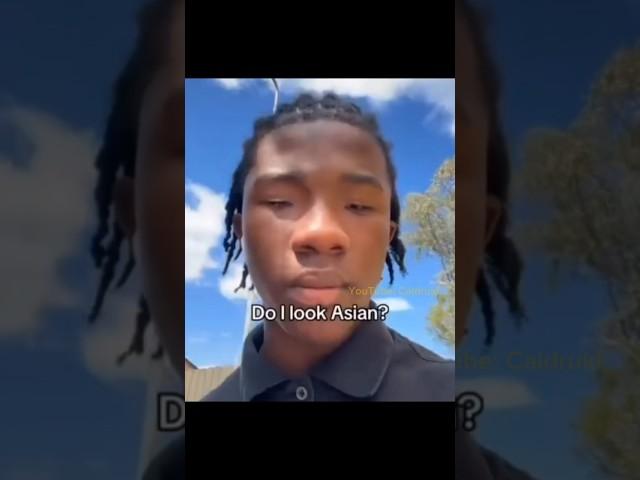 do i look asian? #slideshow #funny #dankememes #memes #brainrot #shorts