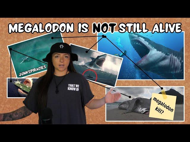 JUNKSPIRACIES: Megalodon is (NOT) still alive