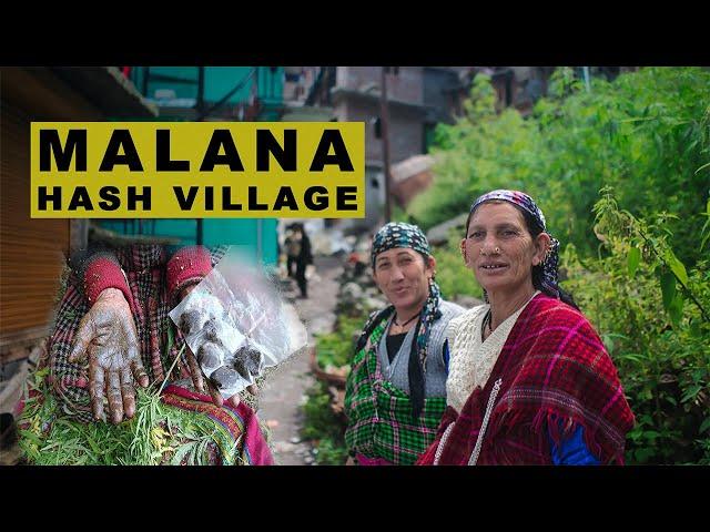 MALANA HASH VILLAGE: World Famous Weed Mountain in INDIA |  OFFICIAL DOCUMENTARY