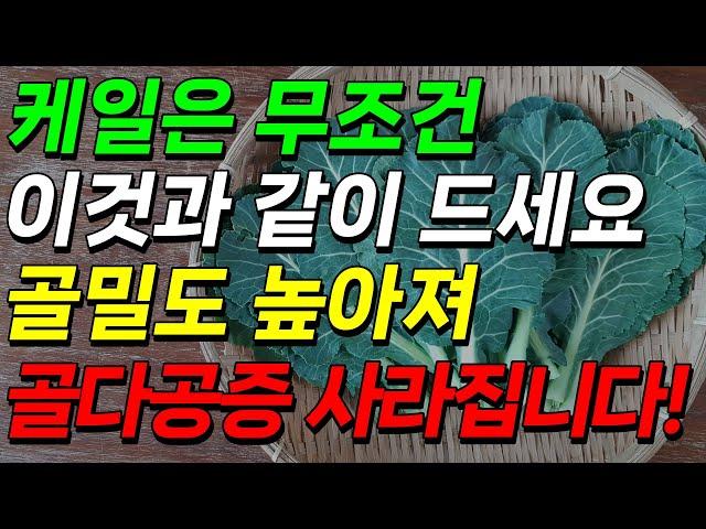 케일은 무조건 이것과 같이 드세요. 골밀도 높아져 골다공증 사라집니다!