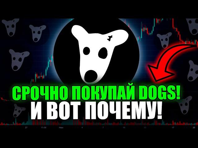 ️DOGS - Future gem or bubble? Price forecast and risk factors!