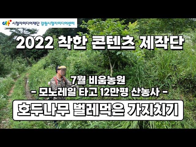 [제작단] 2022 착한콘텐츠 제작단_비움농원 (모노레일 타고 12만평 산농사 ' 호두나무 벌레먹은 가지치기')