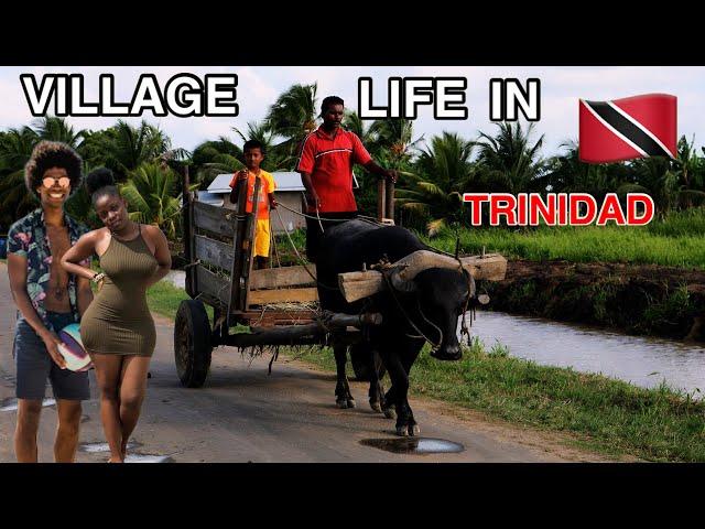 OMG! Village Life in Trinidad & Tobago is NOT What you Think! 