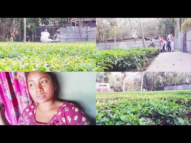 village vlog | Our  full  day vlog | giti lifestyle | home cleaning vlog | Bengali vlog