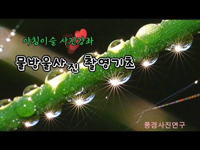 아침이슬물방울사진  빛갈라짐 이슬방울 이슬사진 촬영노하우 water drop. close-up