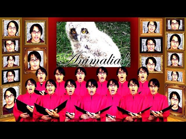 Animalia Chorus! | A Capella Science
