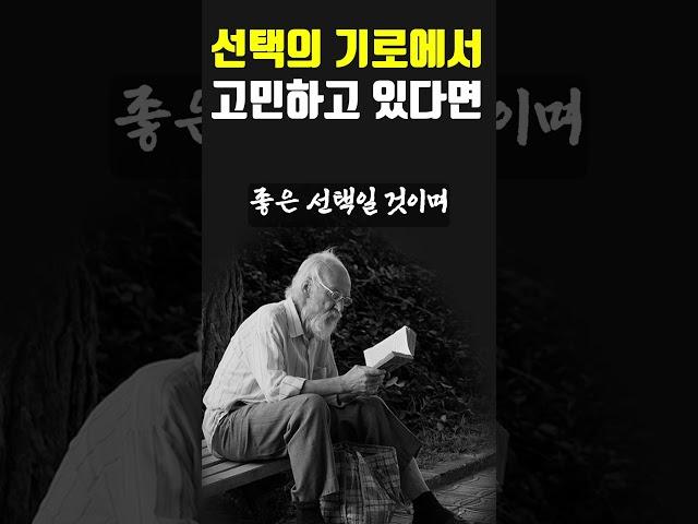 후회없는 선택이란? #지혜 #인생