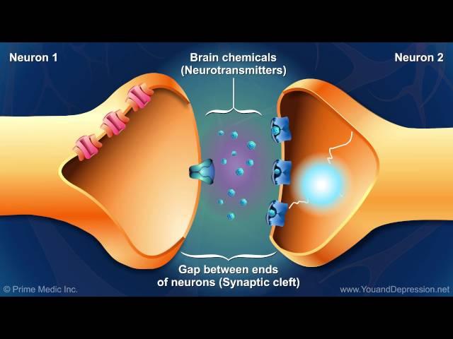 Understanding the chemistry of the brain