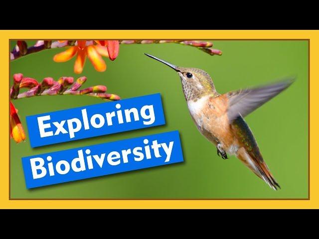 Exploring Biodiversity | Compilation