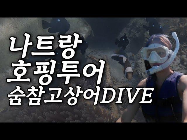 [나트랑Vlog.2] 스노클링 물고기 맛집 레이비치 ep.상어굴 다이빙한 강심장.. (나트랑 여행 가이드/럭셔리호핑투어/선상파티)