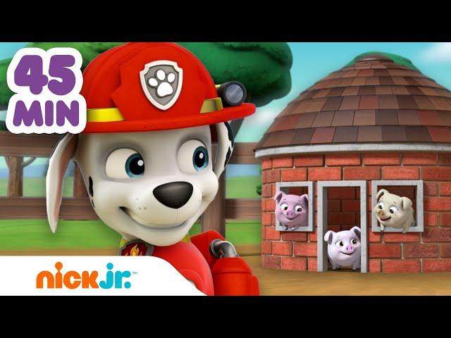 Paw Patrol - La Squadra dei Cuccioli | La PAW Patrol protegge gli animali per 45 minuti! | Nick Jr.