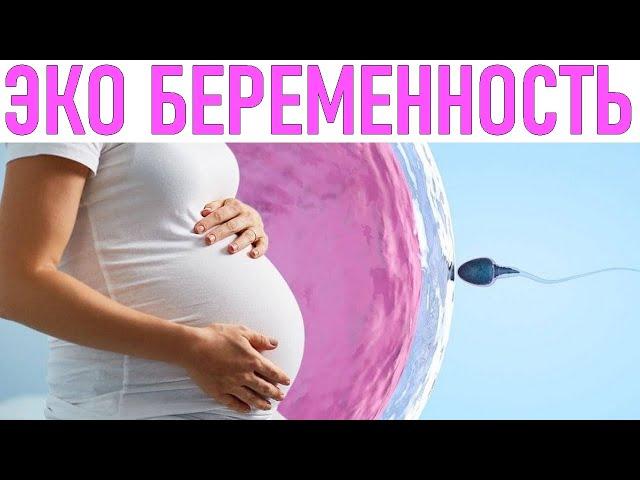 ЭКО БЕРЕМЕННОСТЬ | Беременность с ЭКО и без