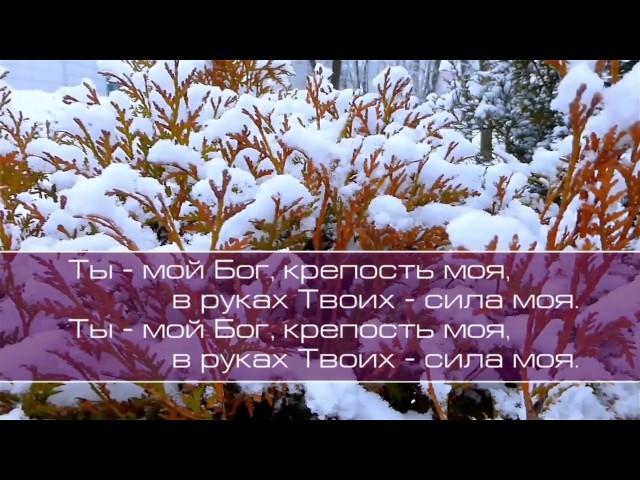 Христианское поклонение. Сборник №70