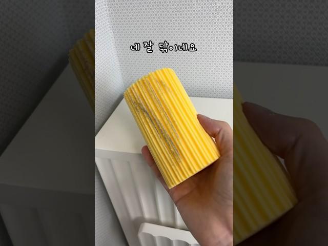 하나에 2만원짜리 스펀지?? #내돈내산 #제품리뷰