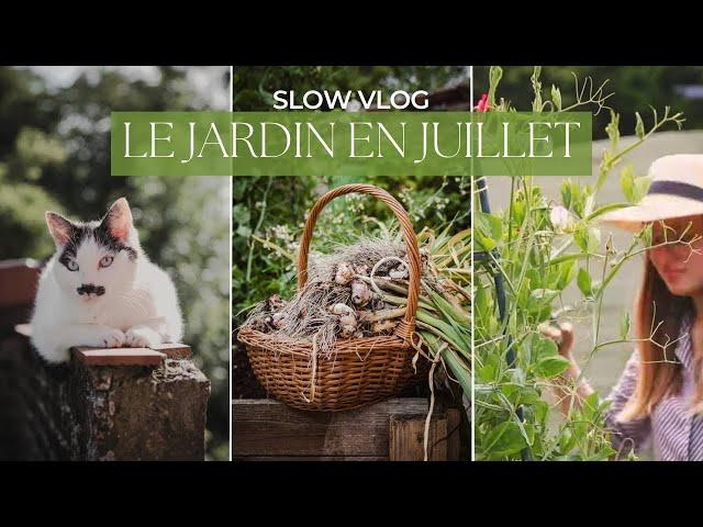 Slow VLOG | Le jardin en juillet - Premières récoltes, pâtes fraîches et lasagnes maison