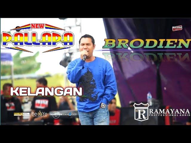 KELANGAN - BRODIEN - NEW PALLAPA LIVE DADAP KUNING - CERME - GRESIK  04-09-2022 #snpindonesia