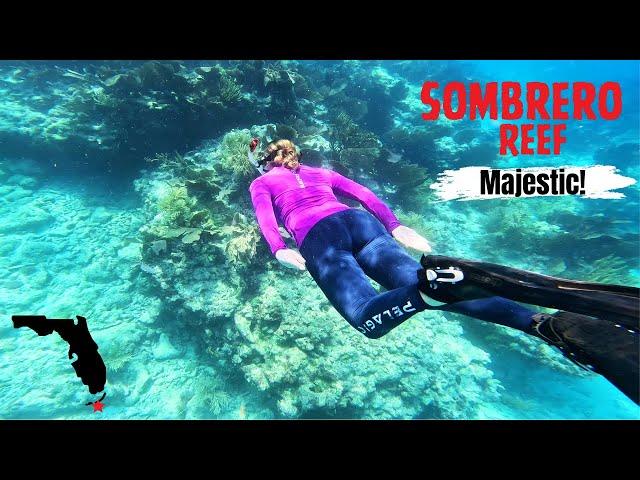 SOMBRERO REEF Snorkeling Florida Keys, Amazing 4K Video Of...Best Snorkeling In Marathon