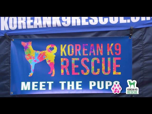 Korean K9 Rescue x Pawthereum - Adoption Event