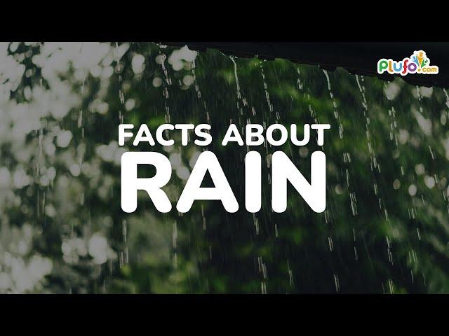 Interesting Facts about Rain