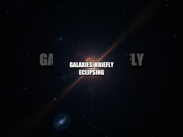 Quirky Quasars and Cosmic Curiosities