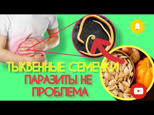 ТЫКВЕННЫЕ СЕМЕЧКИ | Польза тыквенных семечек