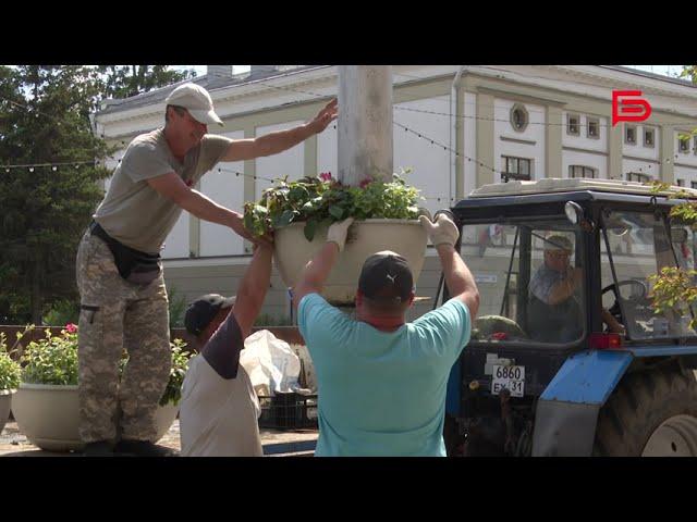 Сотрудники Белгорблагоустройства украшают наш город вазонами с цветами