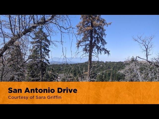 San Antonio Drive Green Valley Lake, CA 92341 | Sara Griffin | Homes for Sale