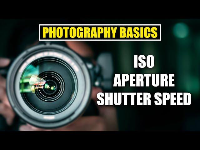 Photo Camera Basics Explained [ Aperture, Shutter Speed, ISO ] Learn Photography for Beginners