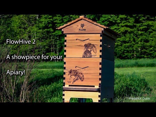 The Flow Hive 2 Bee Hive unboxing, How to put a Flow Hive Together step by step.