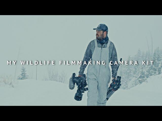 My Wildlife Filmmaking Camera Kit