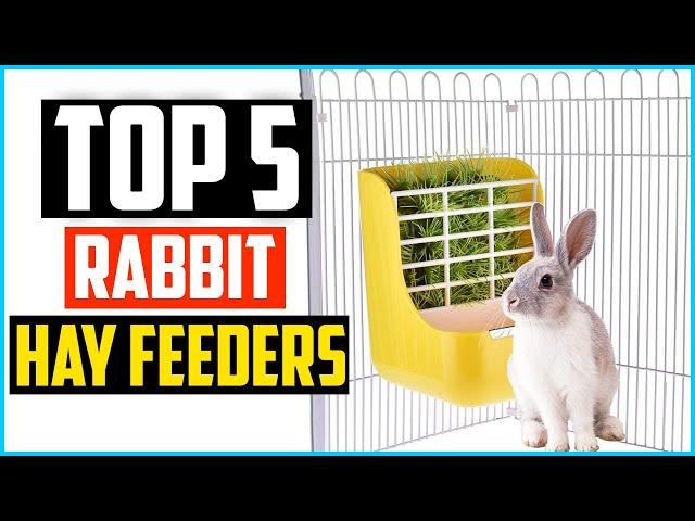 Top 5 Best Rabbit Hay Feeders in 2024 Reviews