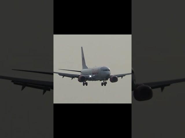 Thai Lion B737-800 landing #aviation #planespotting #baliairport #shorts