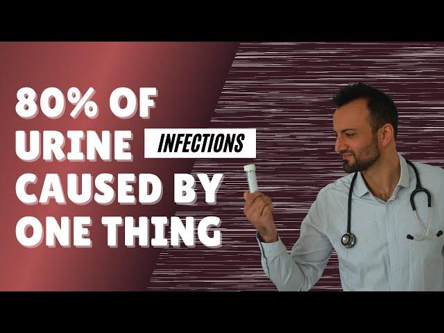 80% of urine infections are caused by one thing